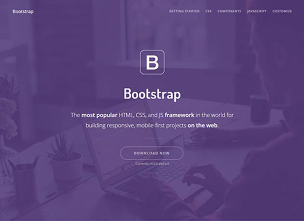 demo bootstrap landing